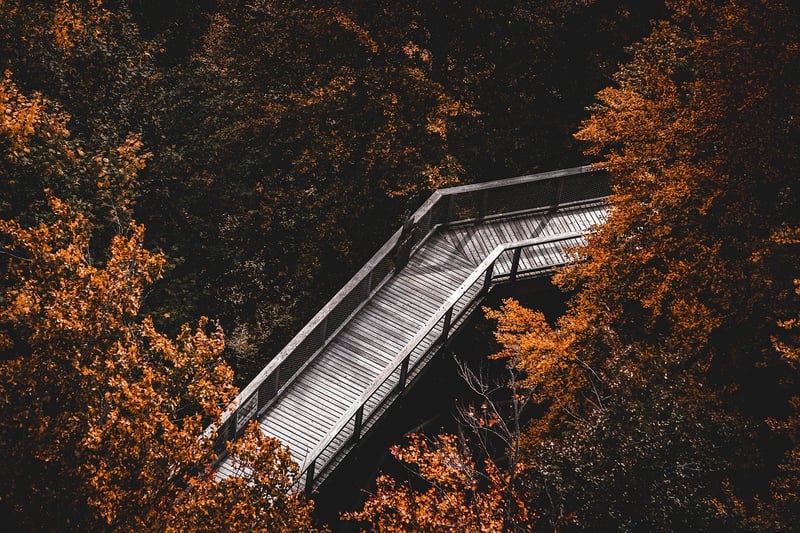 Mindful Hikes